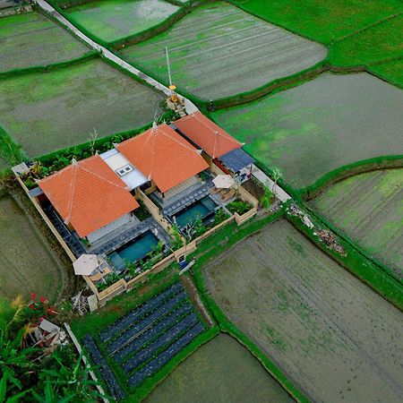 Umesari Villa Sebatu By Uniquecations Убуд Экстерьер фото