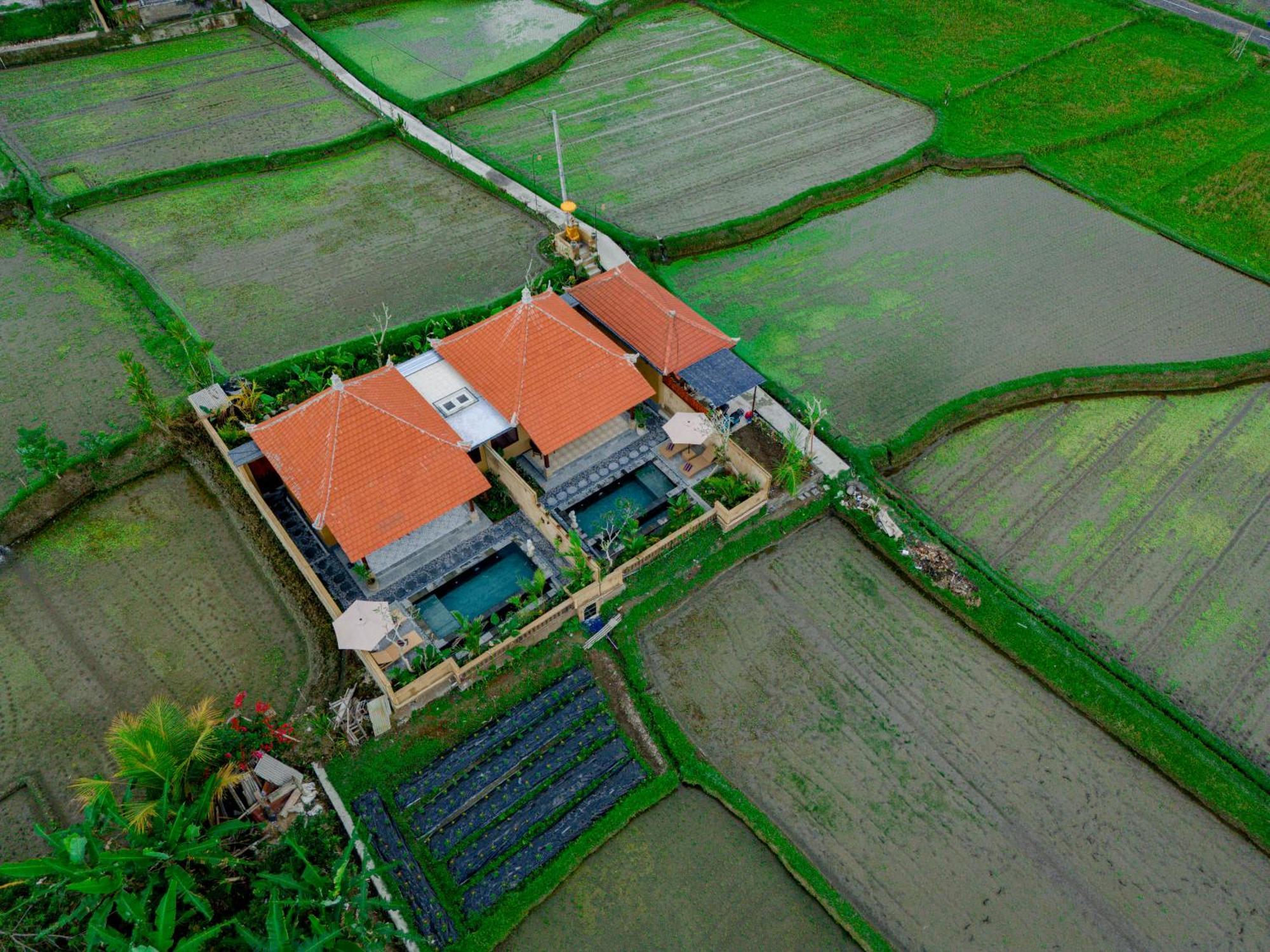 Umesari Villa Sebatu By Uniquecations Убуд Экстерьер фото